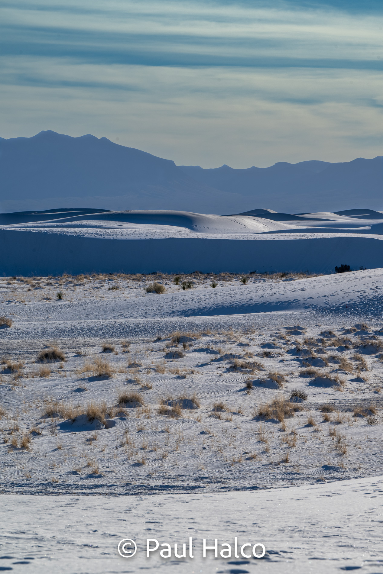 Paul Halco - White Sands NP-8